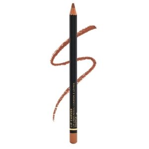 Lavaa Lip Carver Lip Liner Pencil In Truffle Full Size BNIB Waterproof
